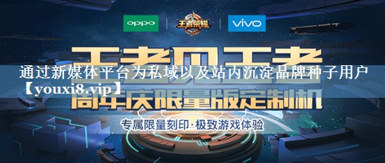 通過(guò)新媒體平臺為私域以及站內沉淀品牌種子用戶(hù)