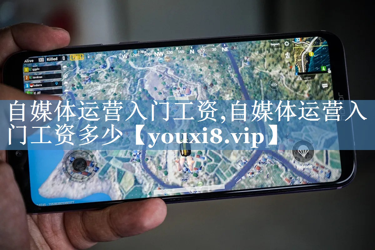 自媒體運營(yíng)入門(mén)工資,自媒體運營(yíng)入門(mén)工資多少