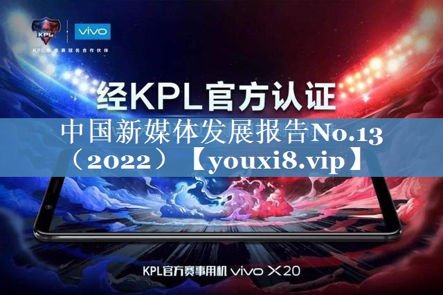 中國新媒體發(fā)展報告No.13（2022）