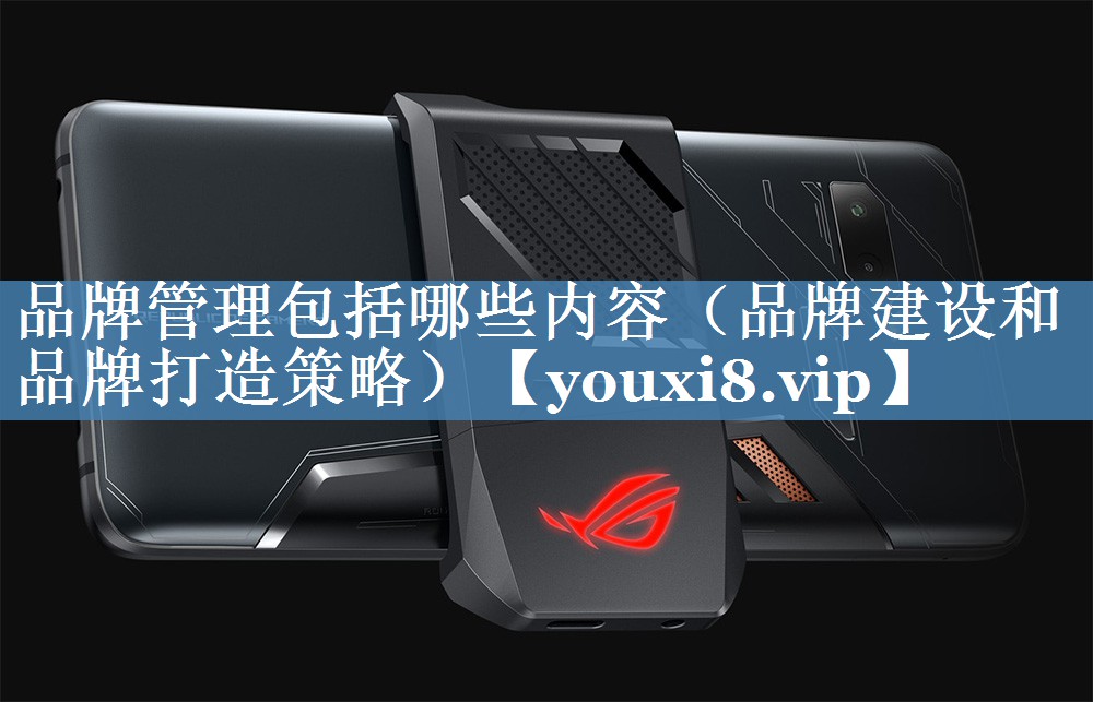 品牌管理包括哪些內容（品牌建設和品牌打造策略）