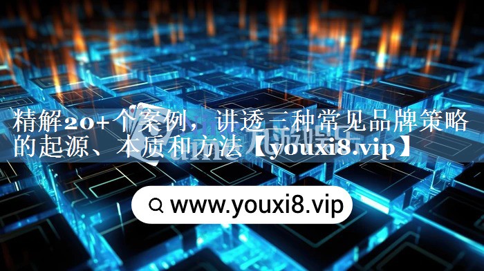 精解20+個(gè)案例，講透三種常見(jiàn)品牌策略的起源、本質(zhì)和方法