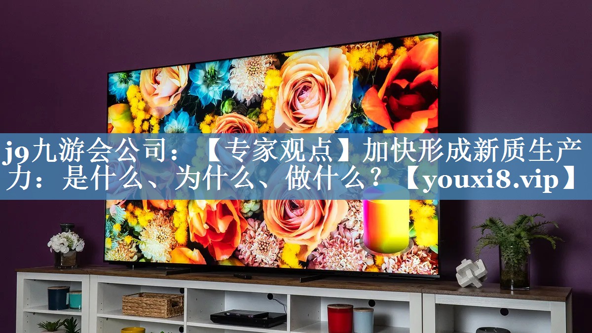 【專(zhuān)家觀(guān)點(diǎn)】加快形成新質(zhì)生產(chǎn)力：是什么、為什么、做什么？