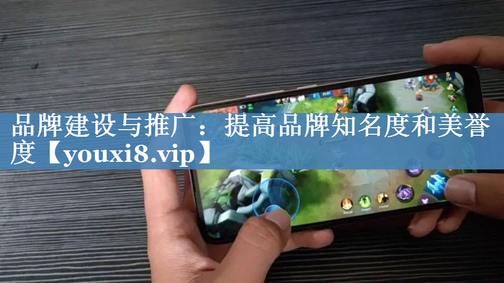 品牌建設與推廣：提高品牌知名度和美譽(yù)度