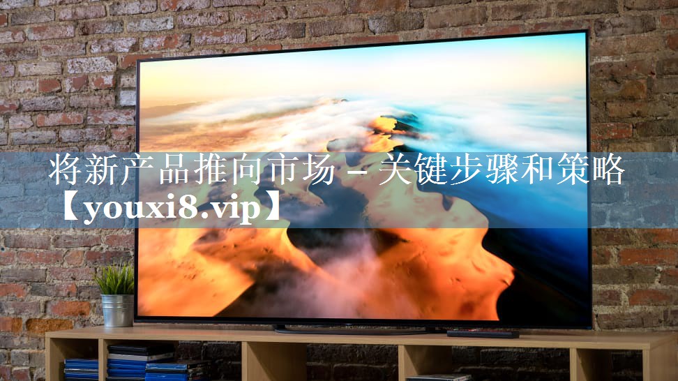 將新產(chǎn)品推向市場(chǎng) – 關(guān)鍵步驟和策略